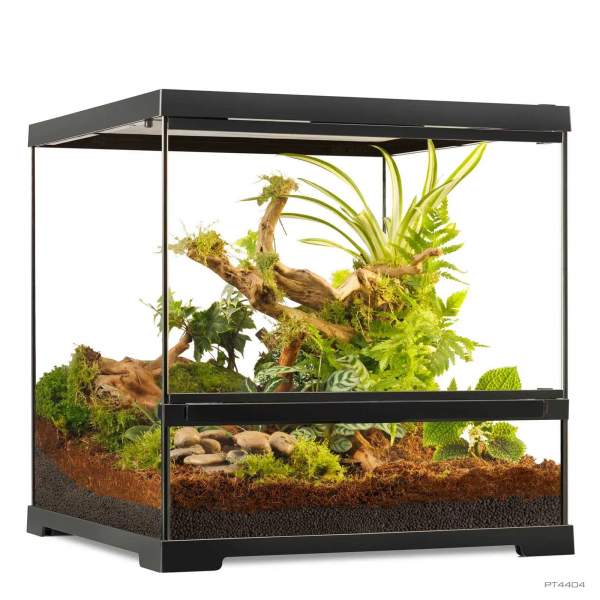 Preview: Pro Terrarium